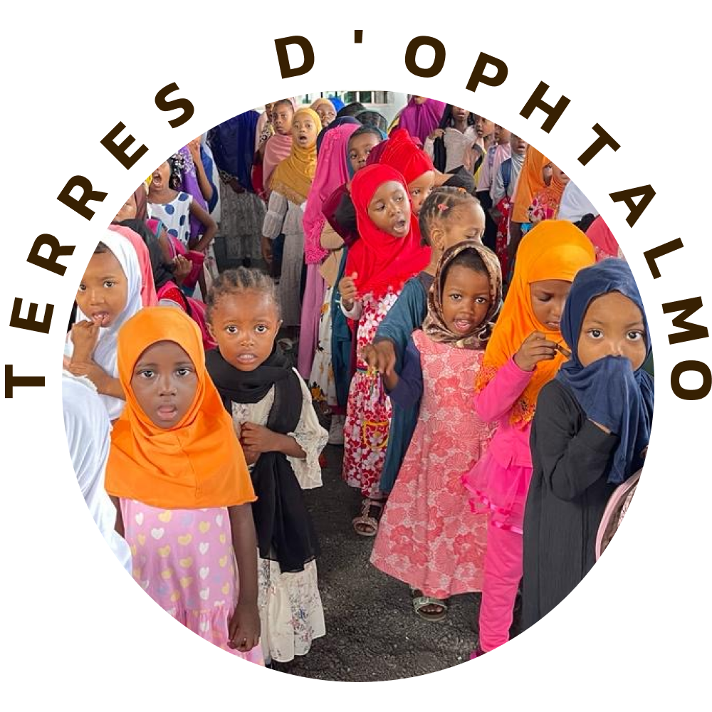 nos impacts terres d ophtalmo association d ophtalmologistes 2